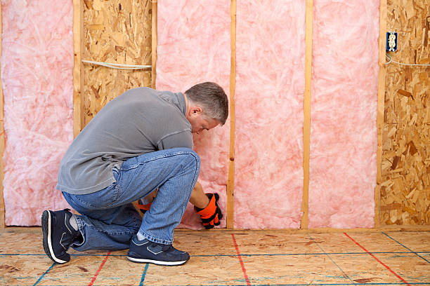 Best Blown-In Insulation  in USA